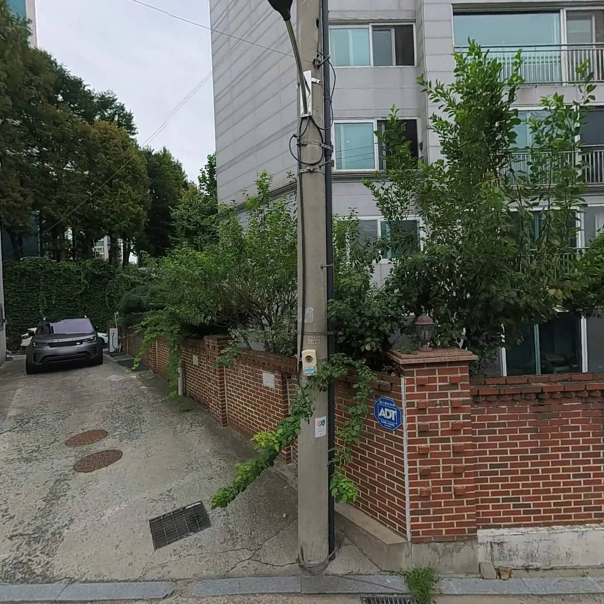 퀸나폴레옹