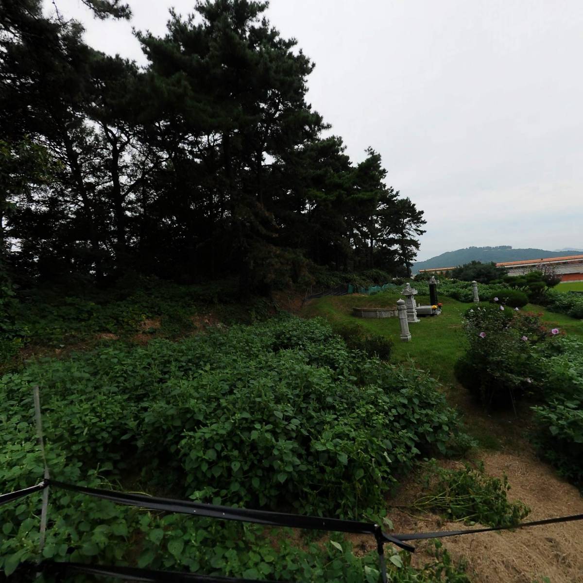 농업회사법인 세양주식회사_3