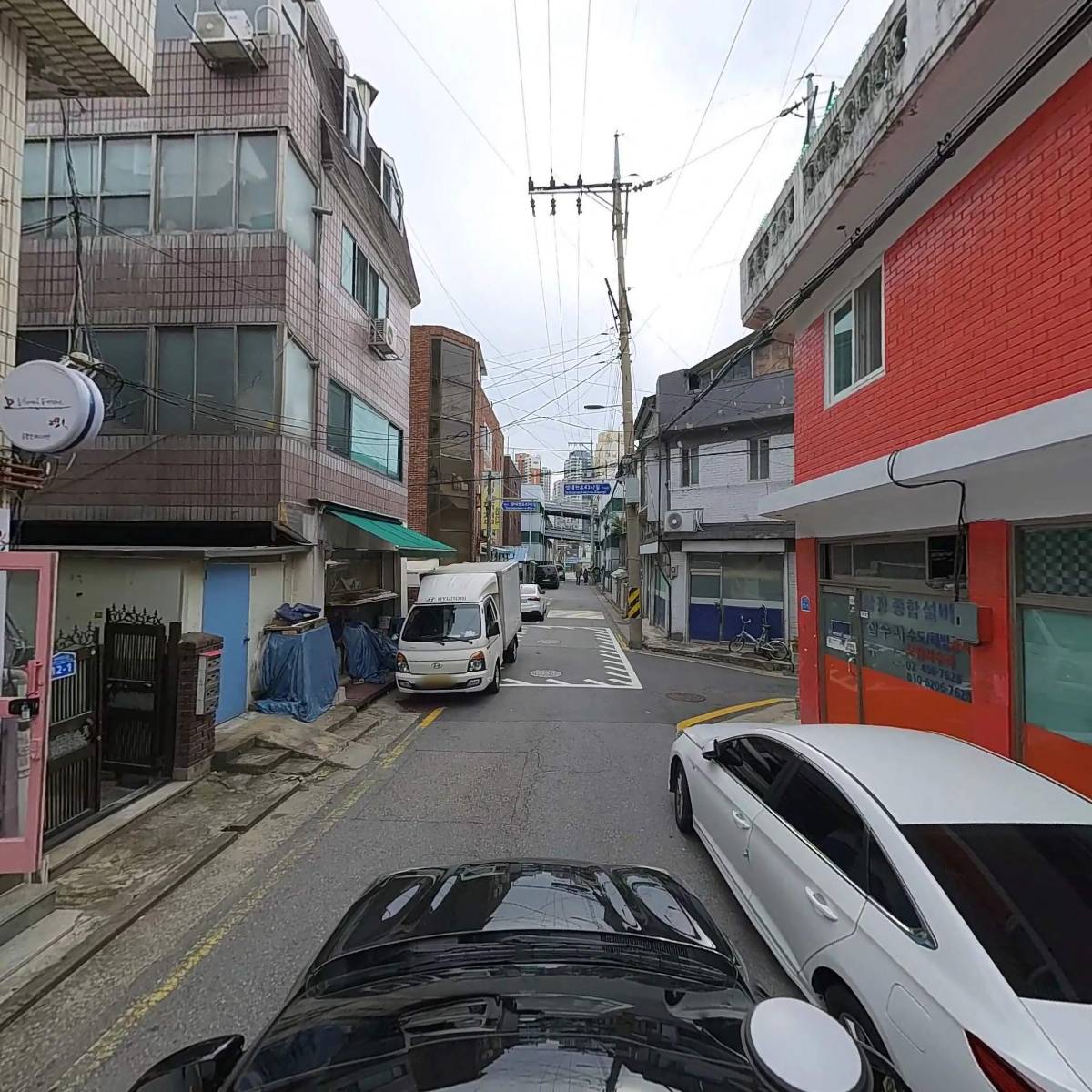 비주얼숲_4