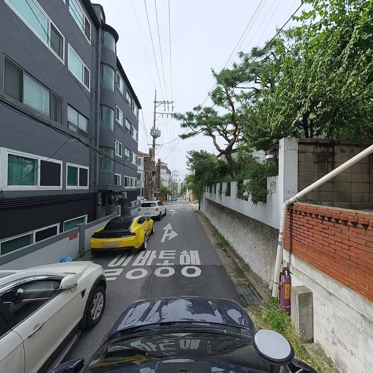 네오_4