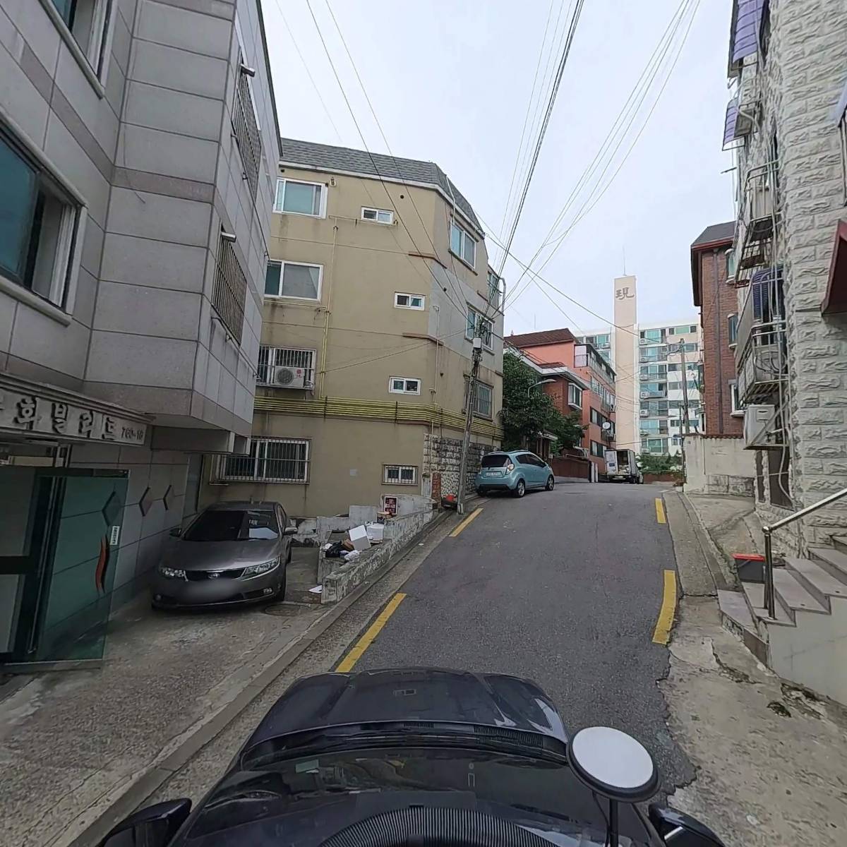 햄스터분양 베이비초롱_4
