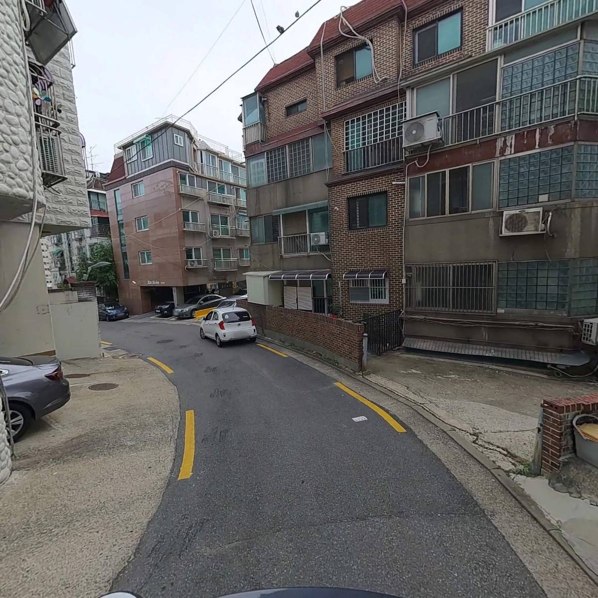 햄스터분양 베이비초롱_2