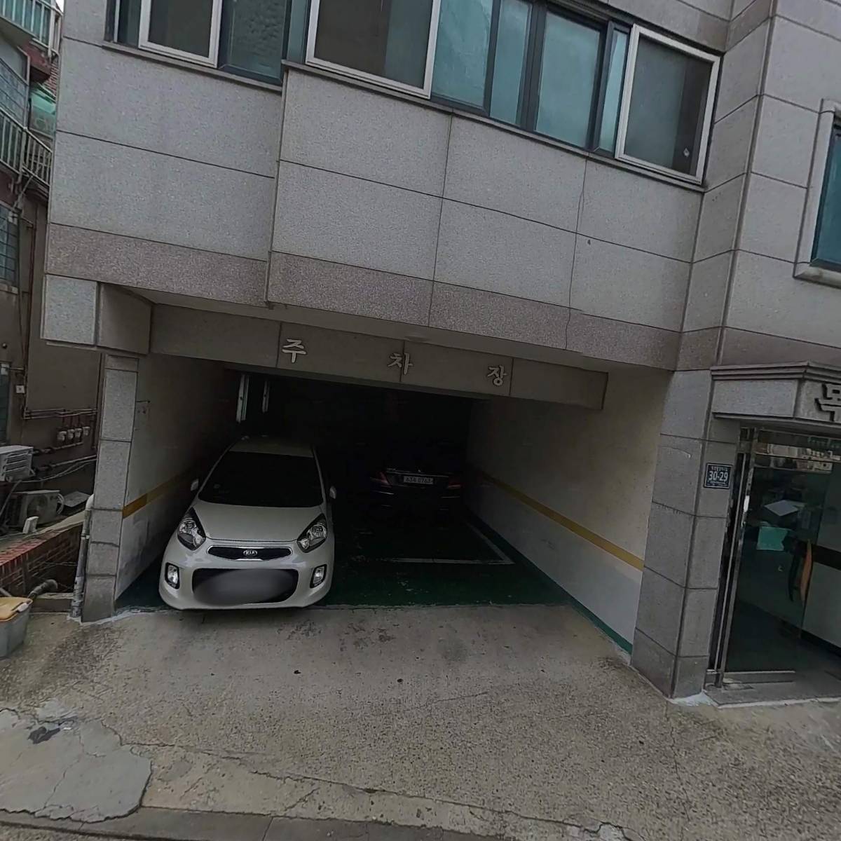 햄스터분양 베이비초롱_3