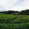 (주)씨엘씨