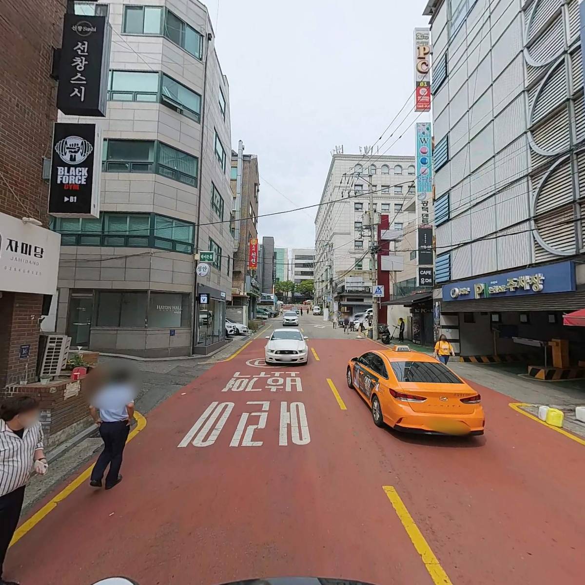 다섯손가락_2