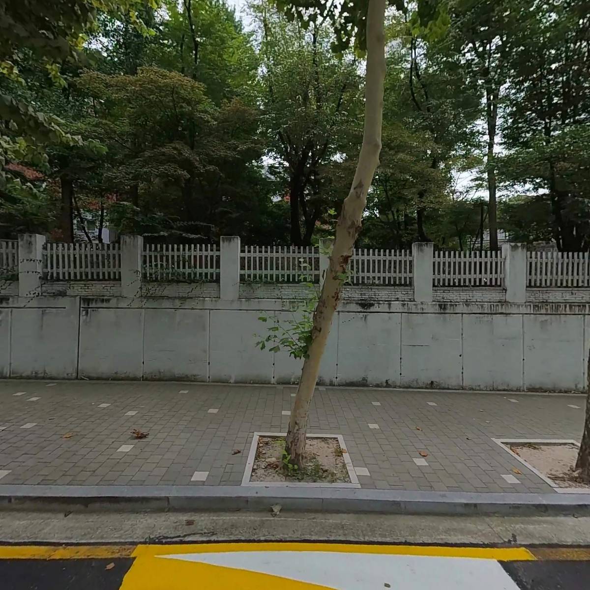 (주)웨일앤썬