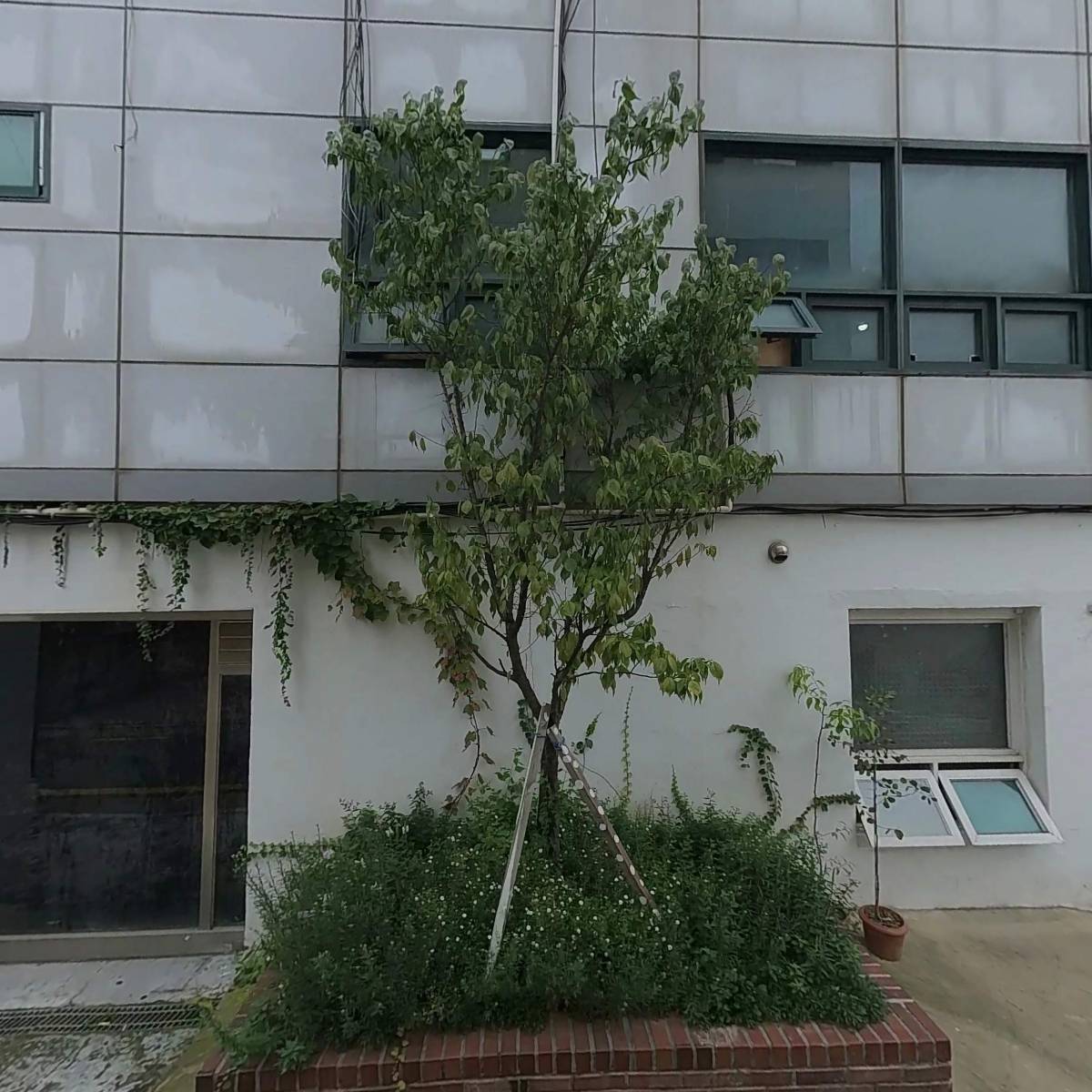 (주) 퓸