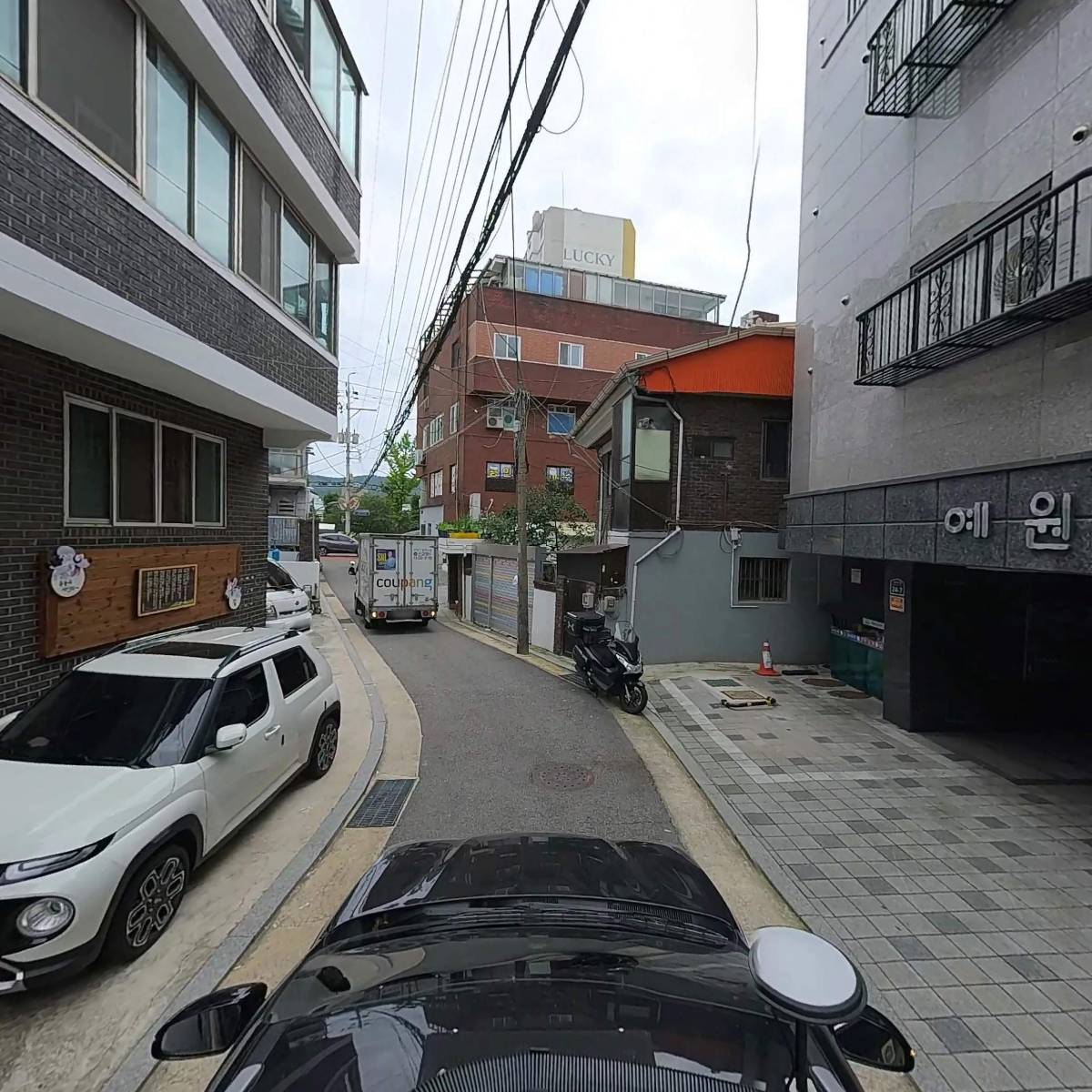 동심_4