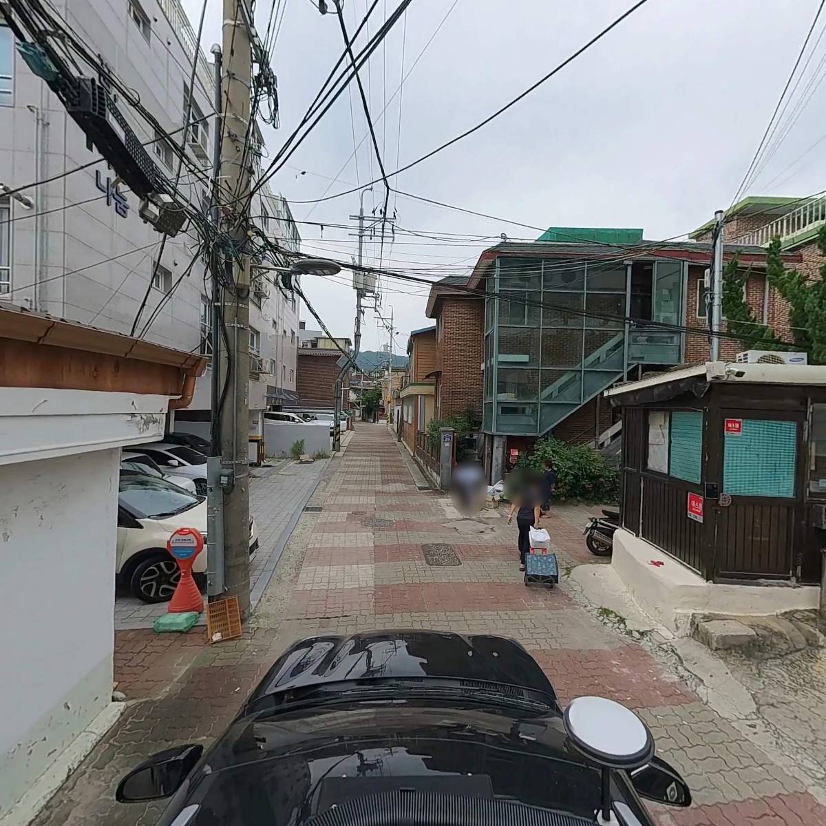 해청그린_4