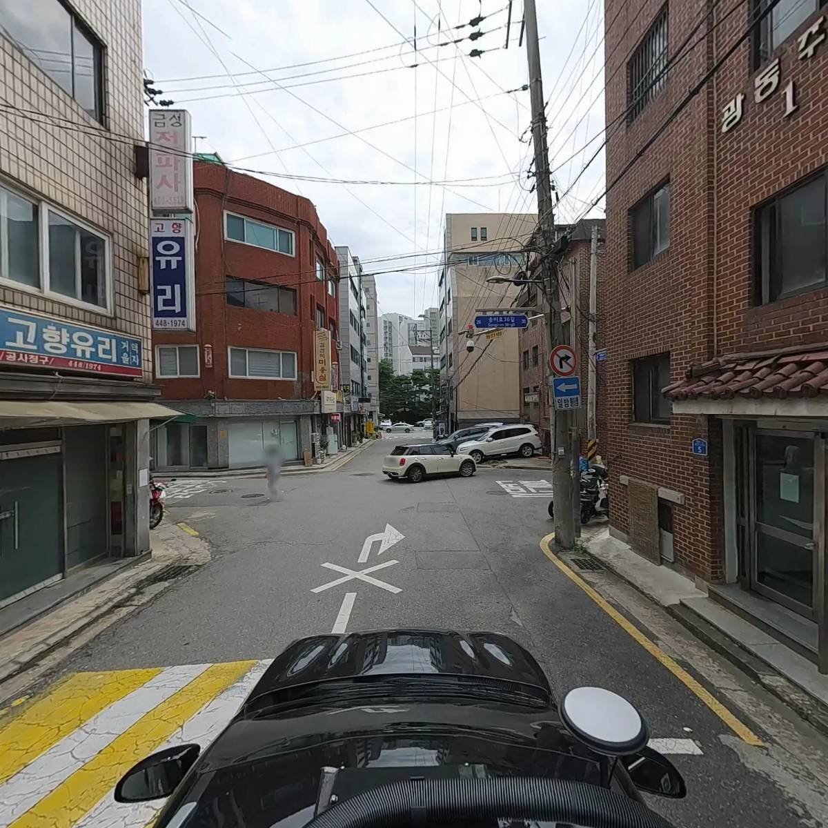 나비 코스모스_4