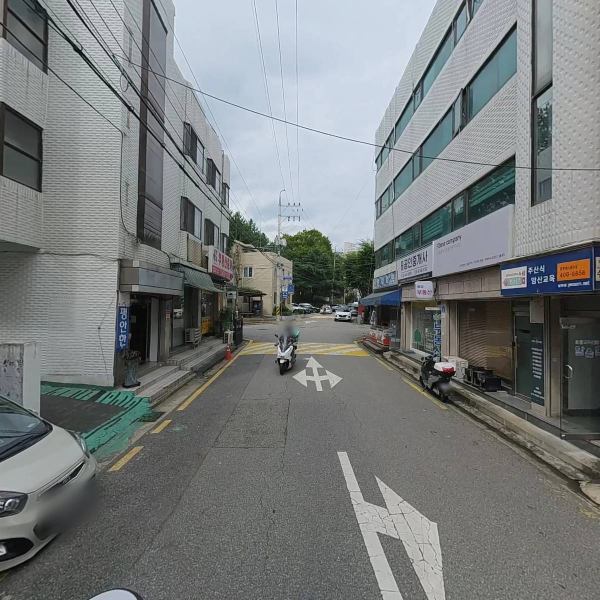 나비 코스모스_2