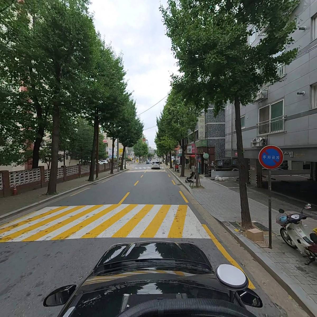 라크슈미돌_4