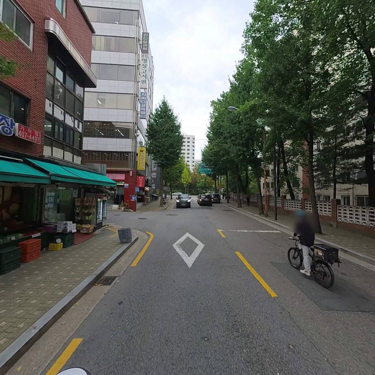 라크슈미돌_2