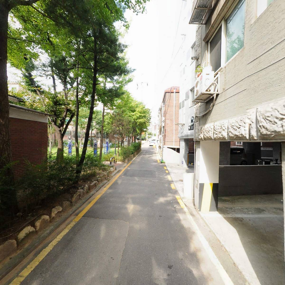 데일리 카메라_2