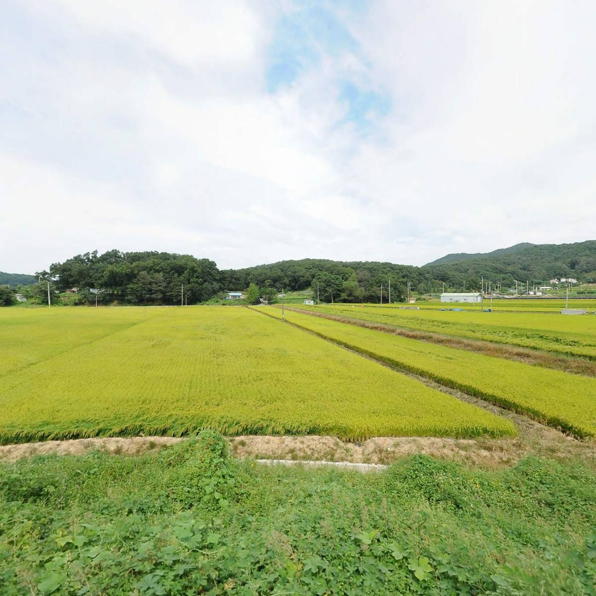 매크로드（주）안성제1공장_3