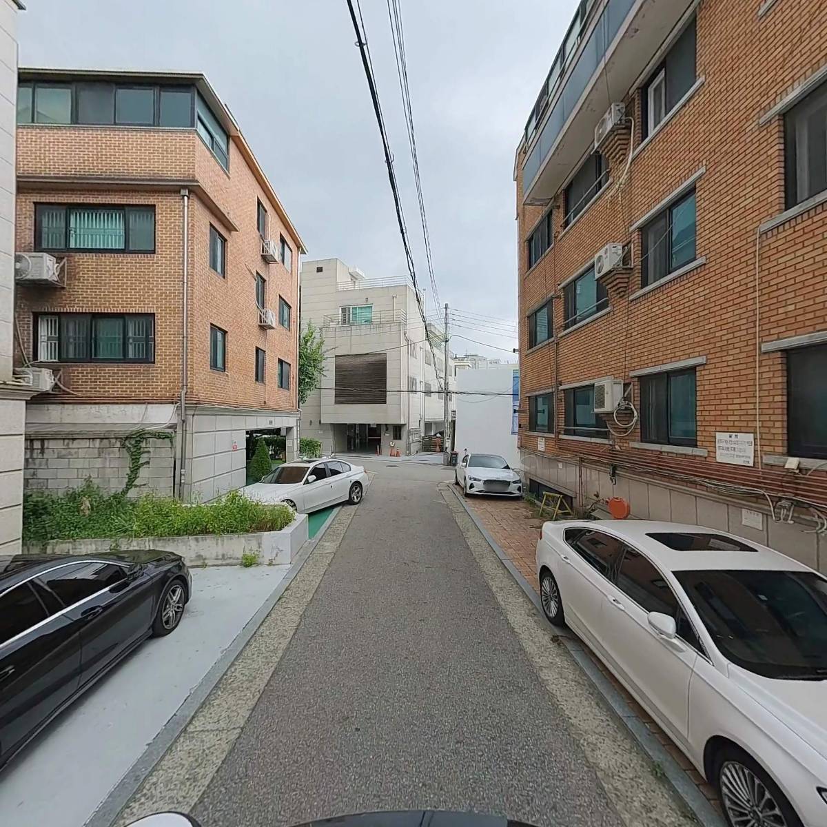 스기의 보험 호구 구제 센터_2