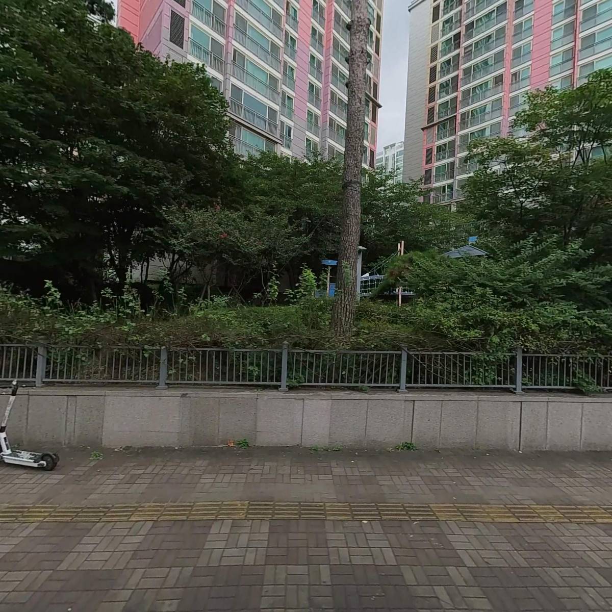 (유)스템메디케어
