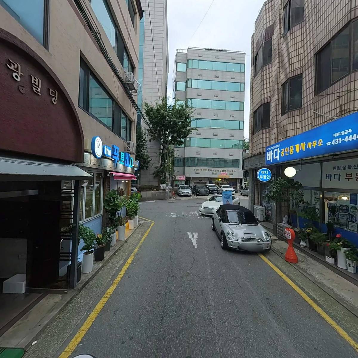 쇼크레도_2