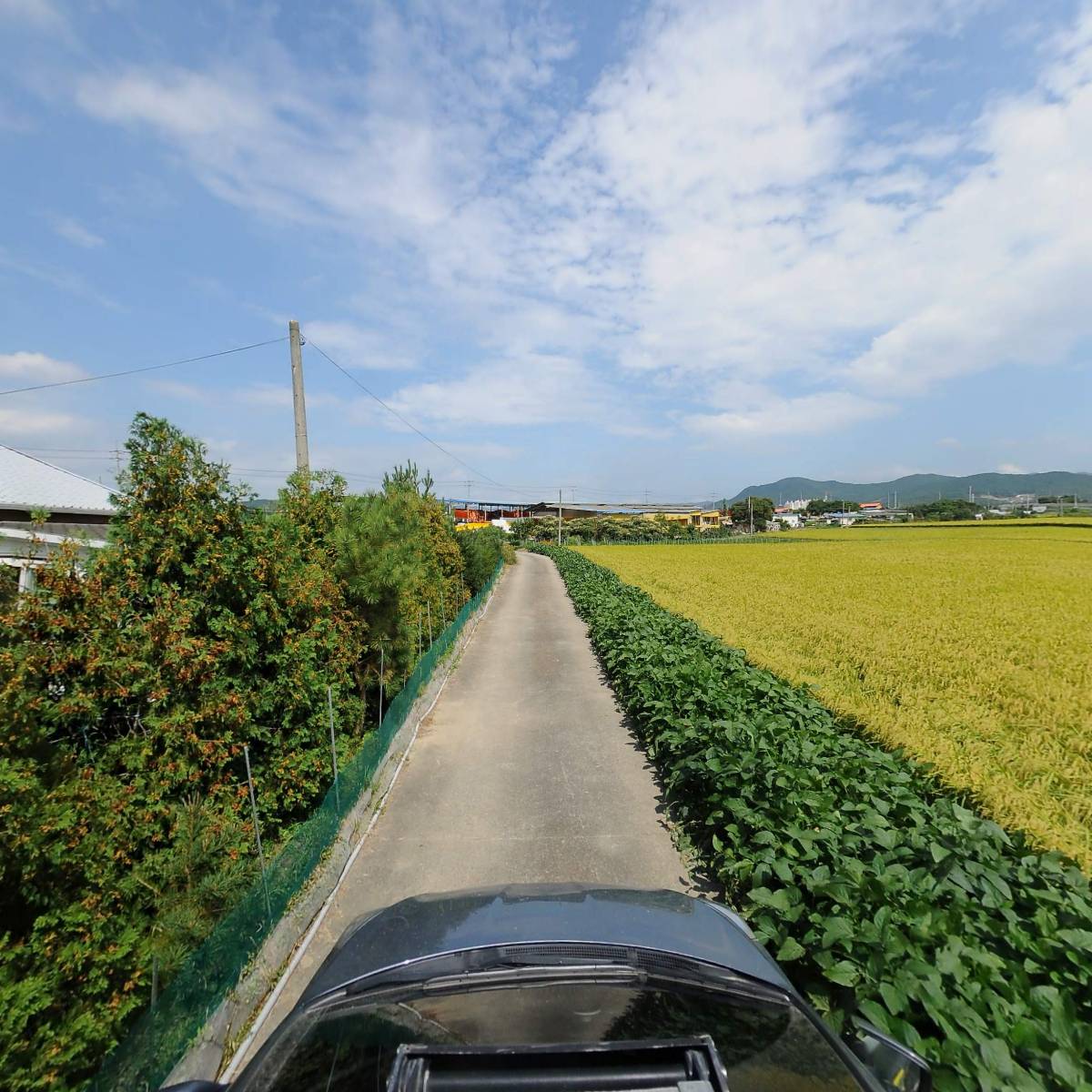 힐링팜_4
