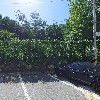 프루그(frug)