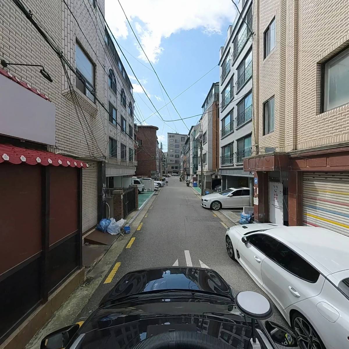개구리발톱_4