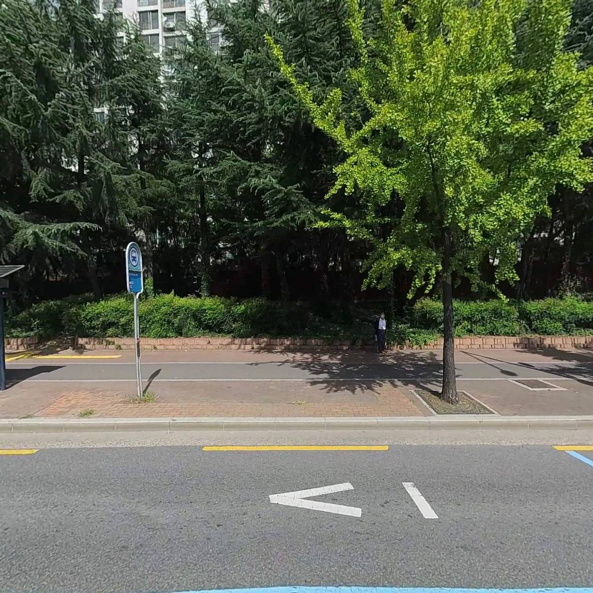 데이마켓19