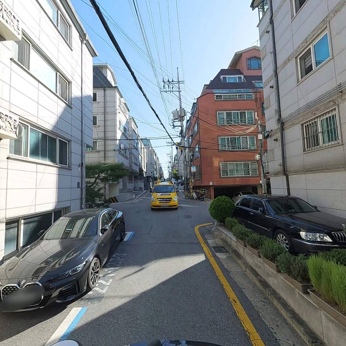 대지코퍼레이션_2