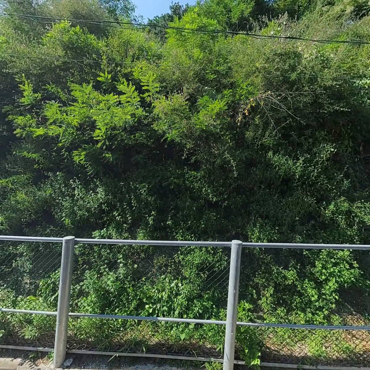 주식회사 브이에이치(VH Inc.)_3