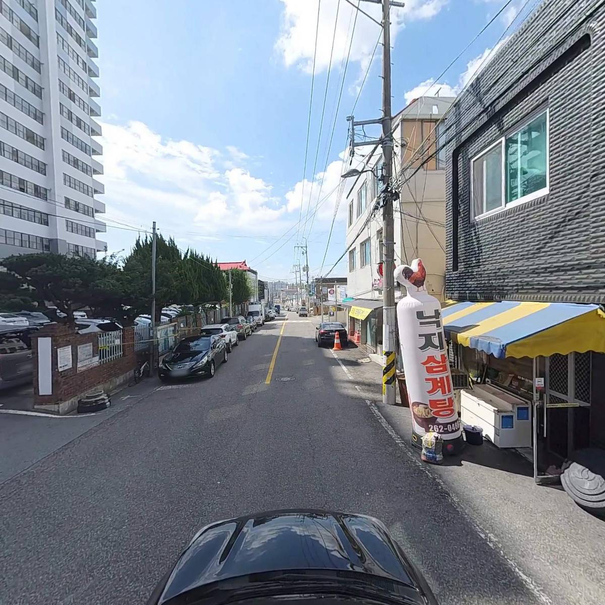 암탉하우스뽕_4