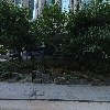 주식회사 심양상선_3