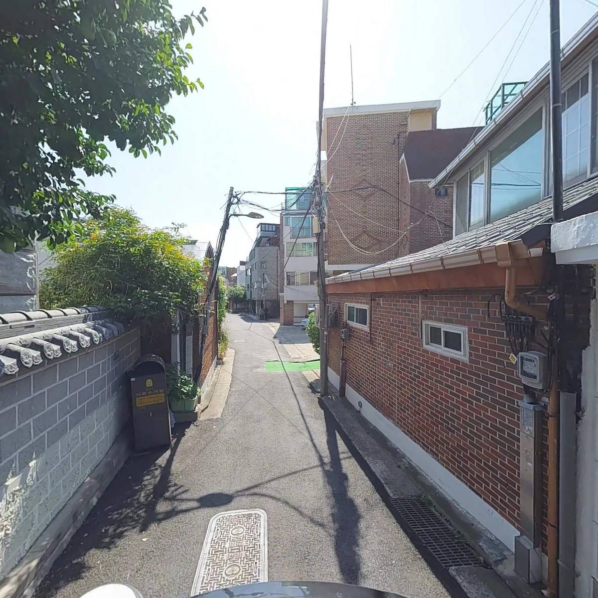 베어(bear)_2