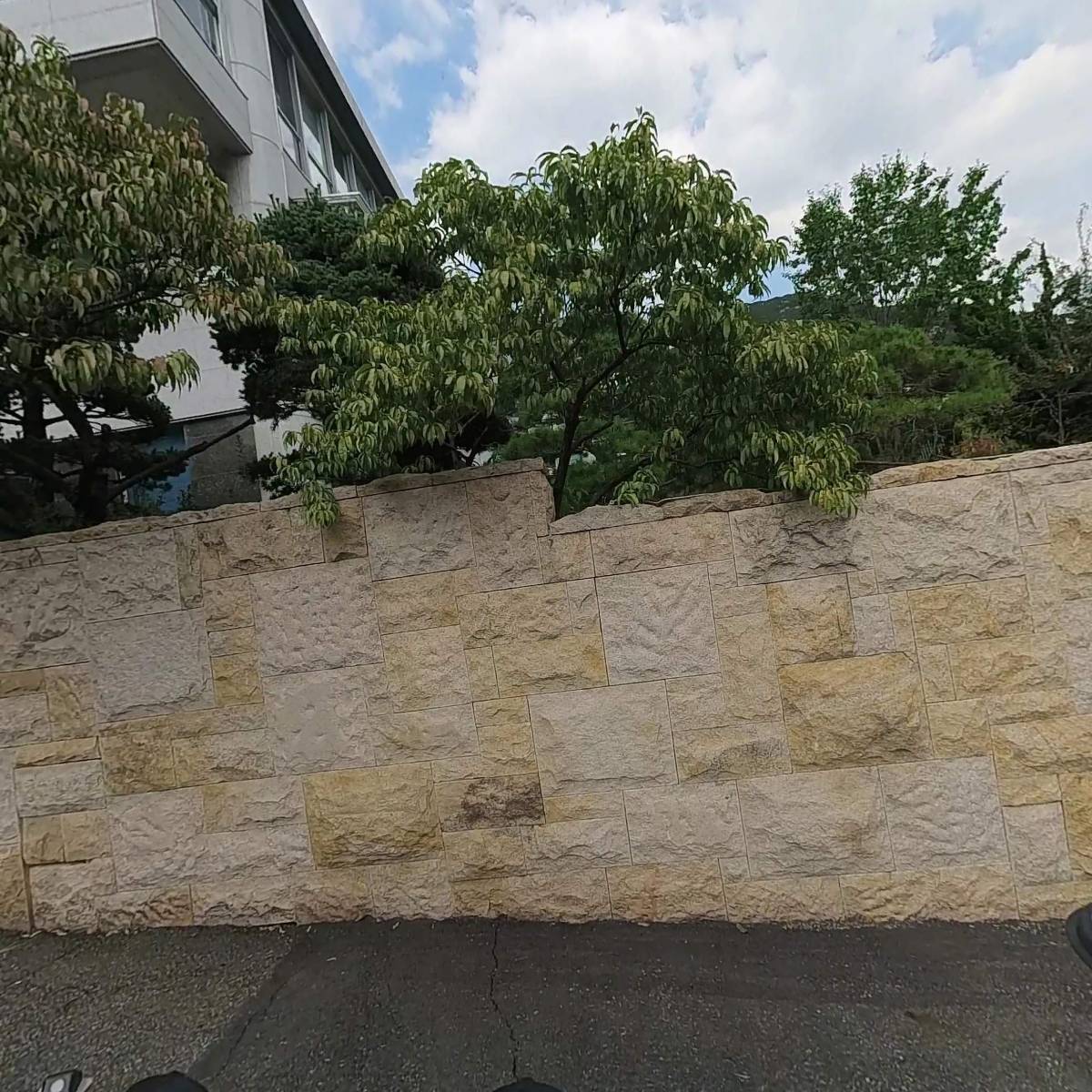 한국 이스포츠 주식회사