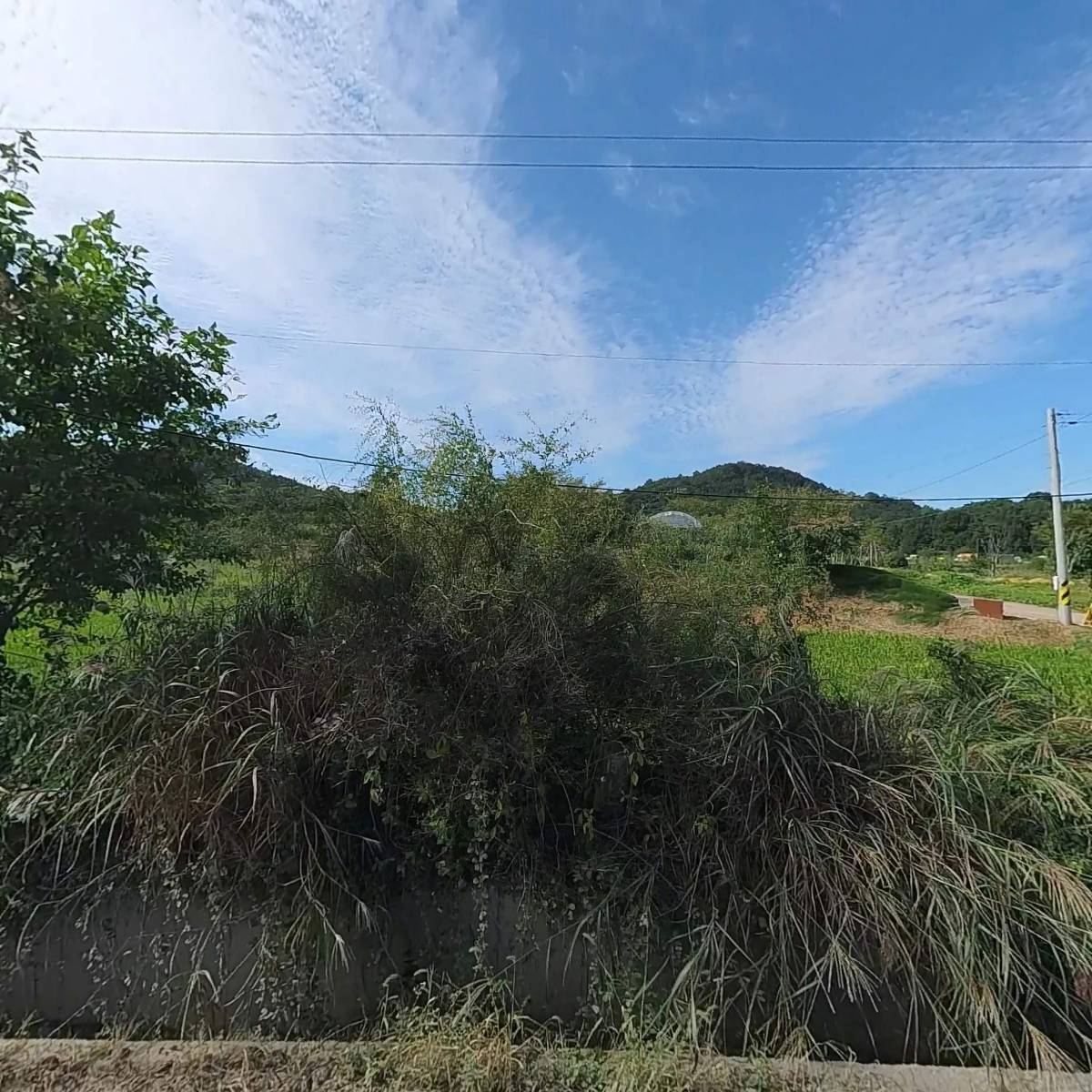 광주대신고등학교