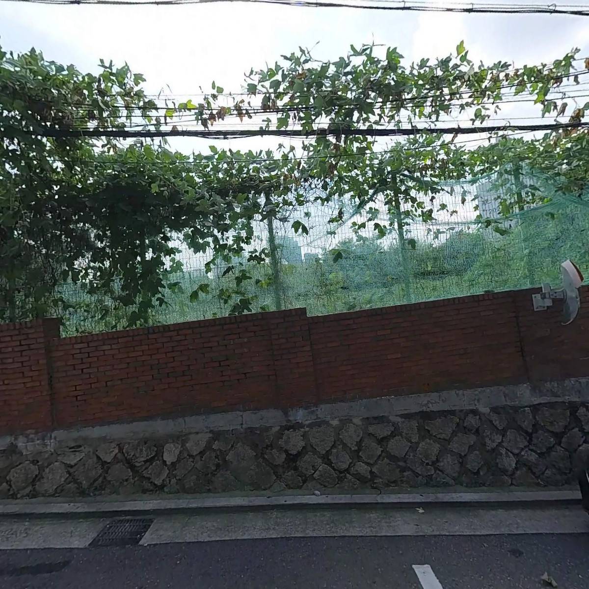 주식회사 소셜그라피