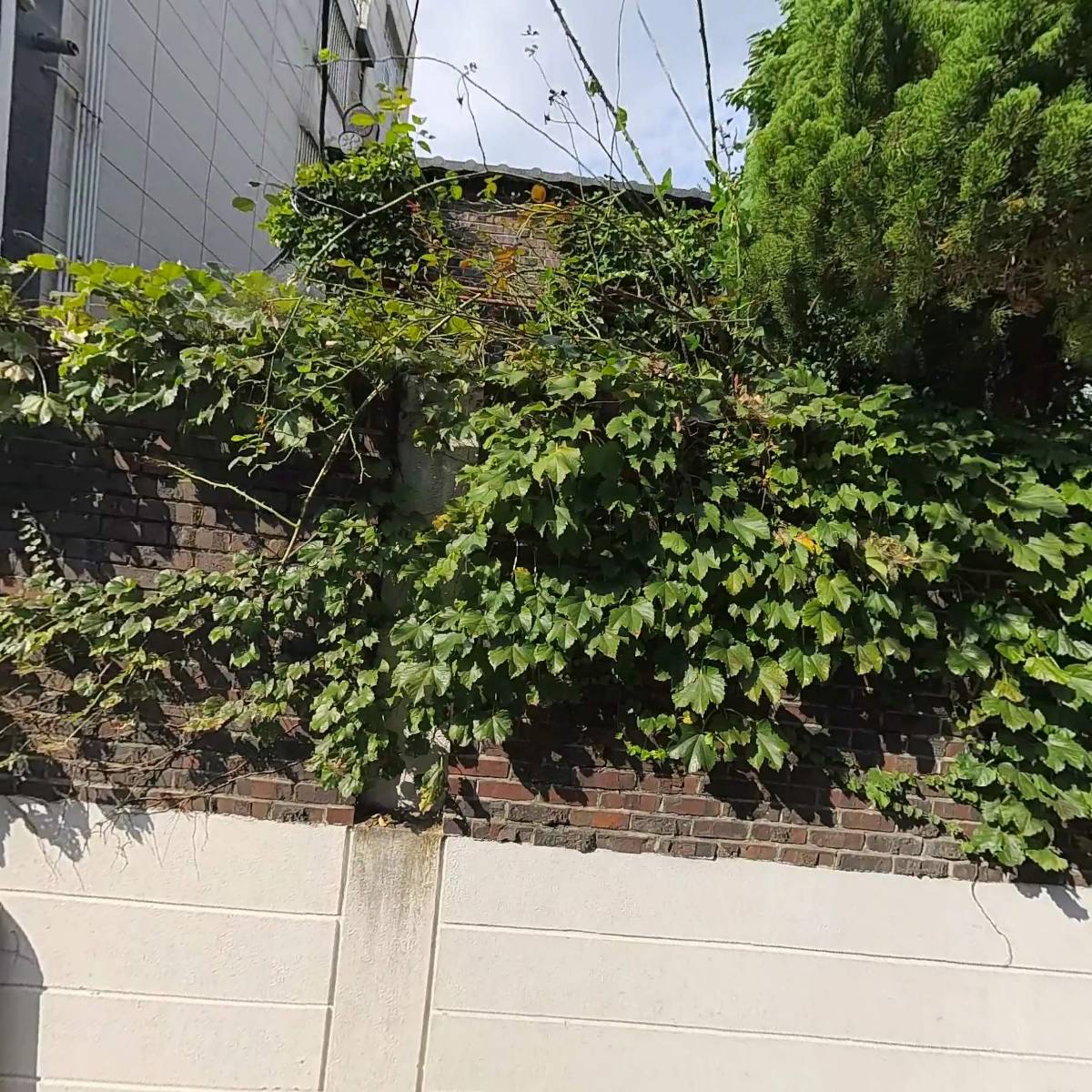 주식회사 룩앳미디어