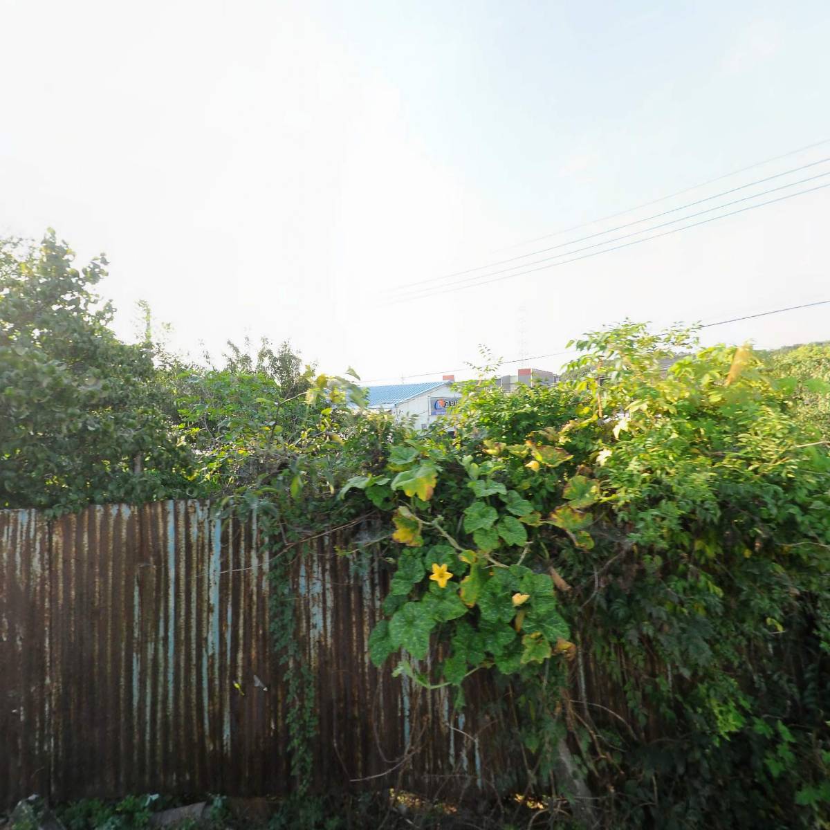 우남정밀