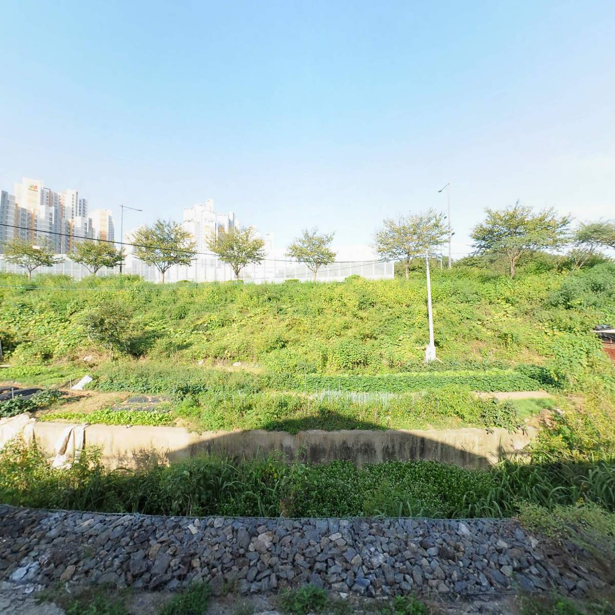 해강