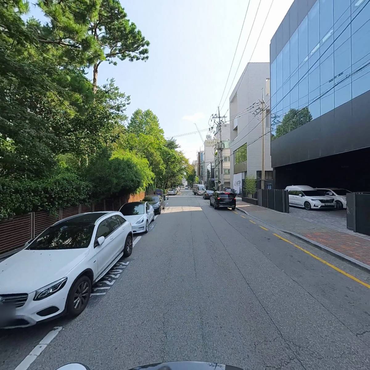 윌리케이 (Willy K)_2