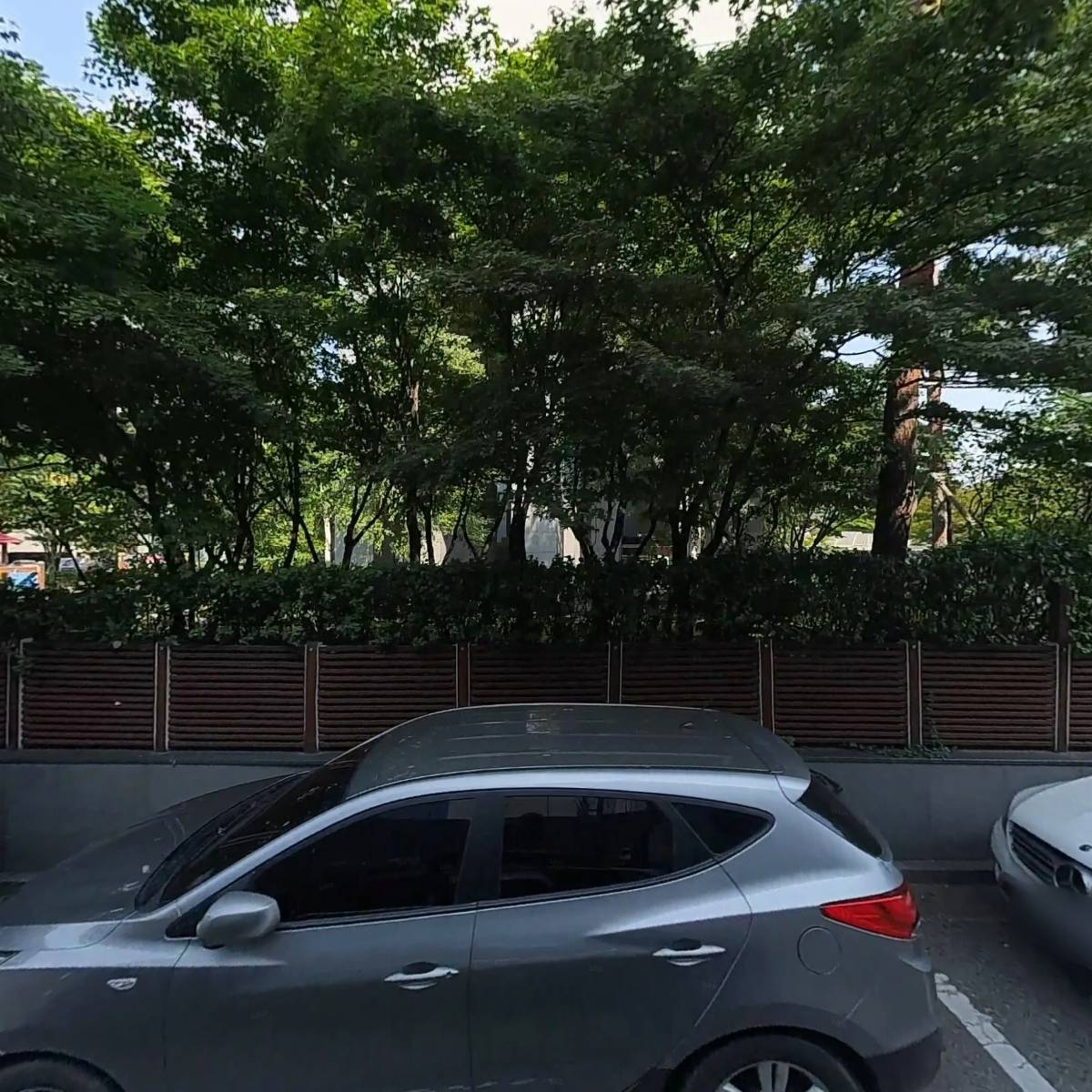 윌리케이 (Willy K)