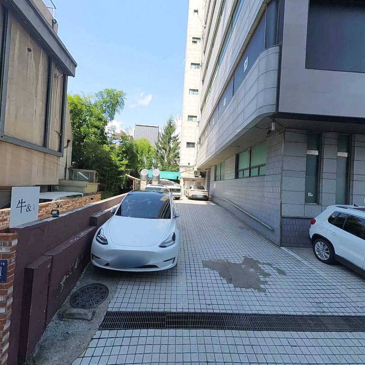 위스도산(wythe)_3