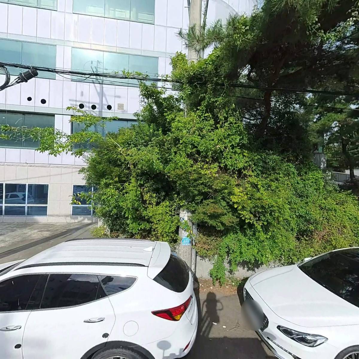 세영엔지니어링(주)