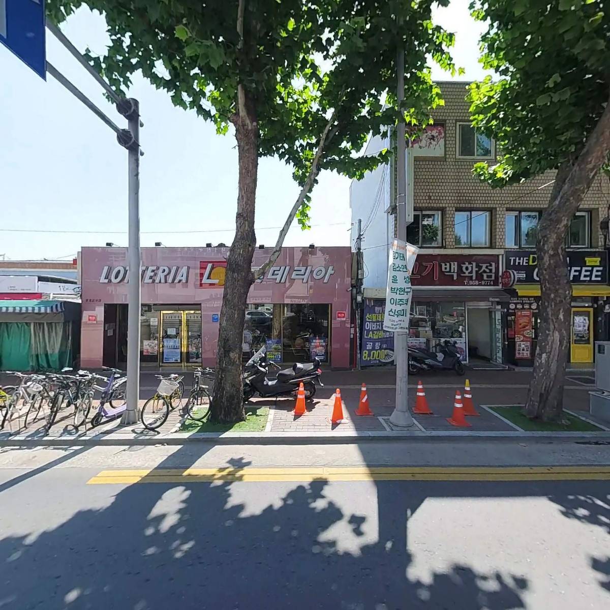 죽도시장