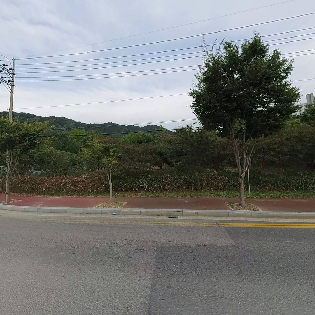 보성 신소재