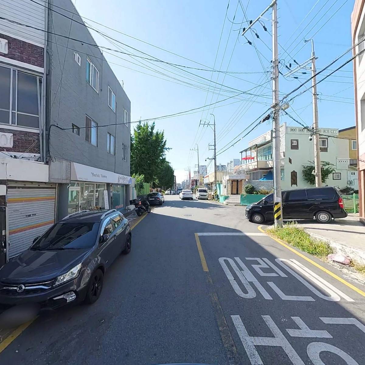 상담나무_2