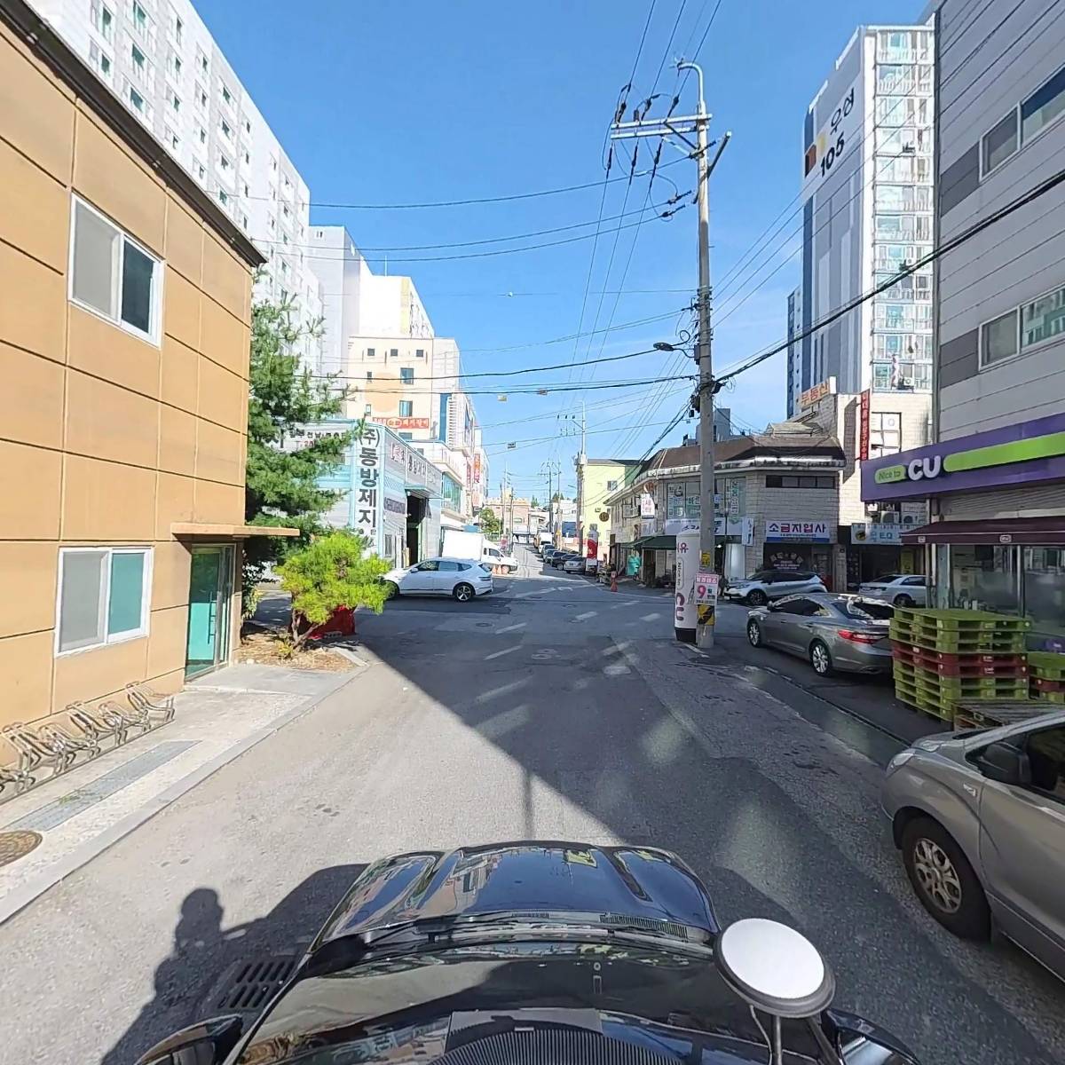 선도_4