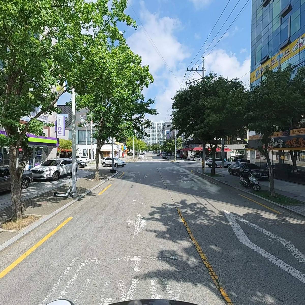 한국팜_2