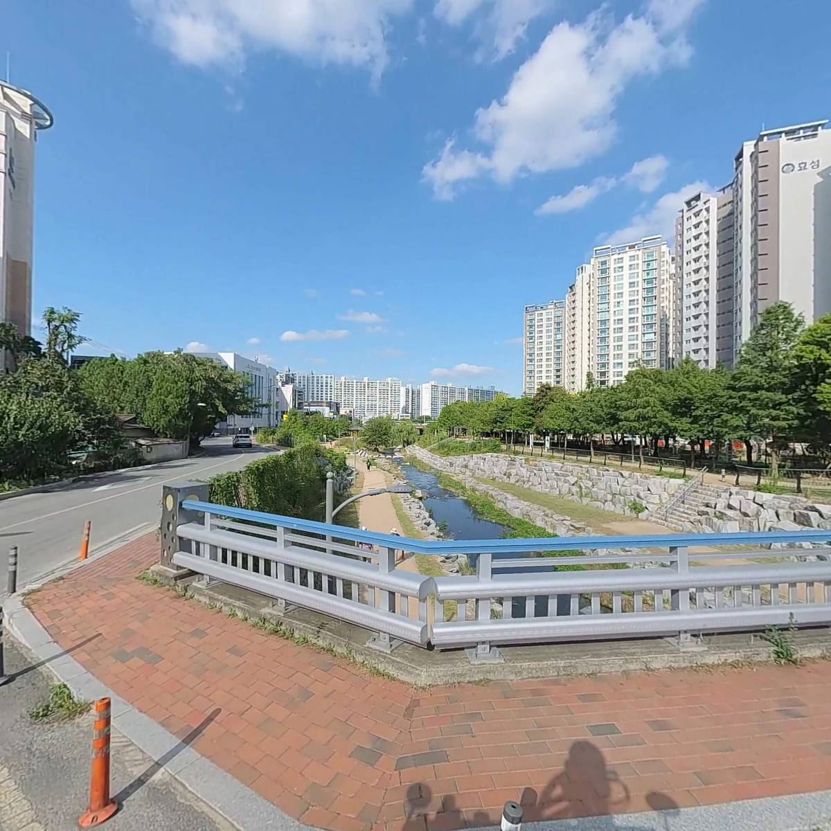 명동돼지한마리