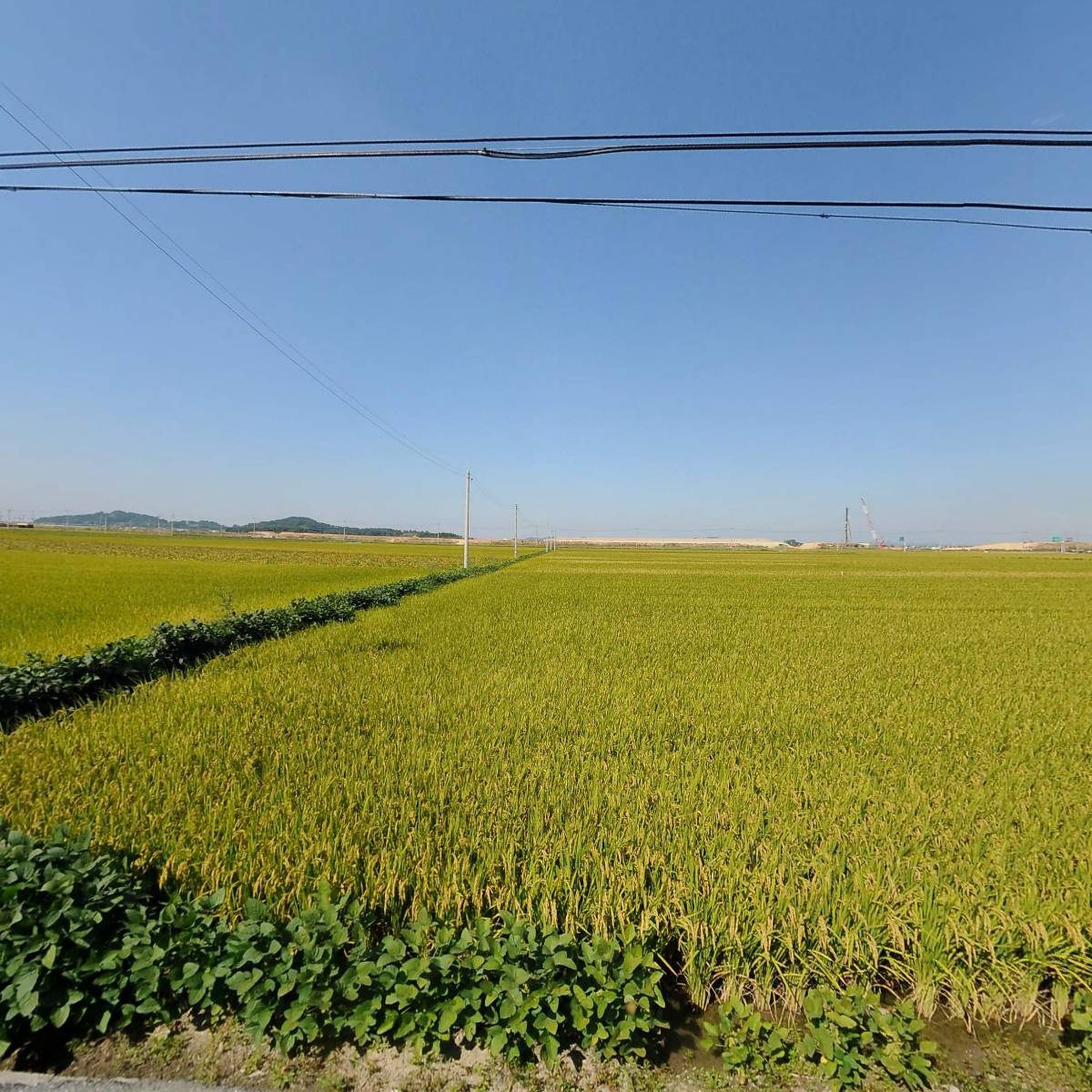 바람난농부영농조합법인