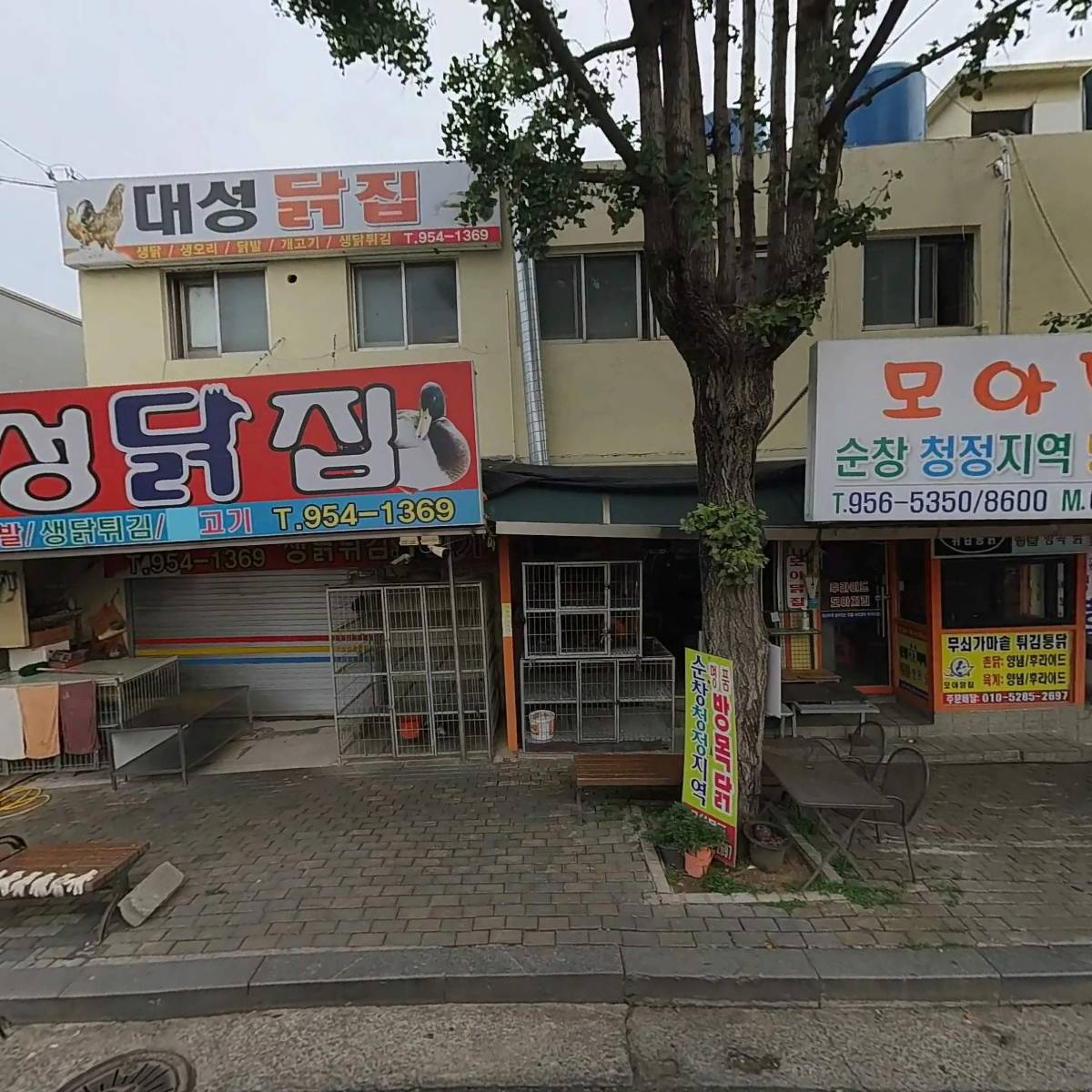 광주농약종묘사