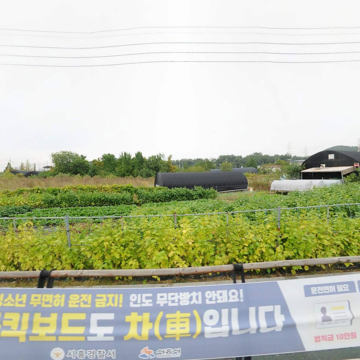 대한예수교장로회 드림교회_3